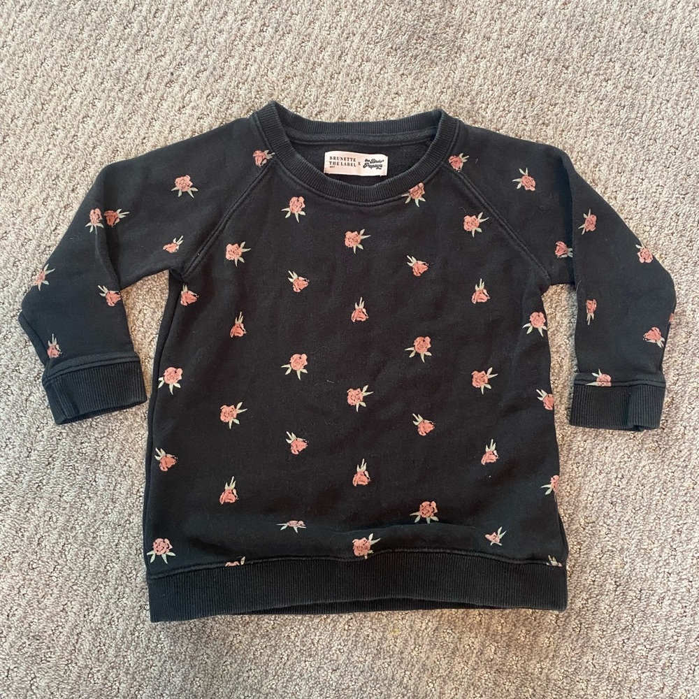 VGUC Brunette the Label x The Birds Papaya kids crewneck size 4/5T